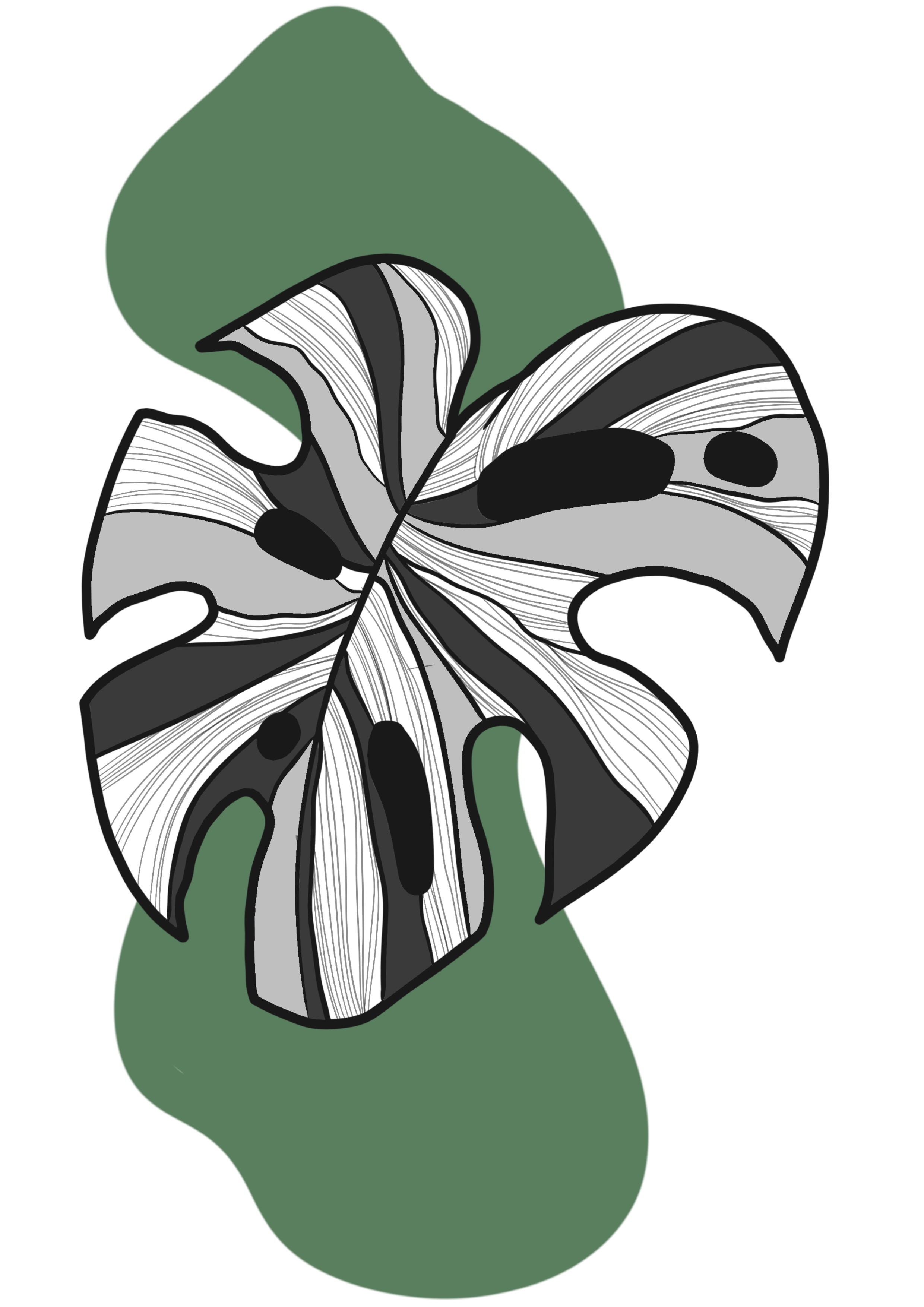 MONSTERA