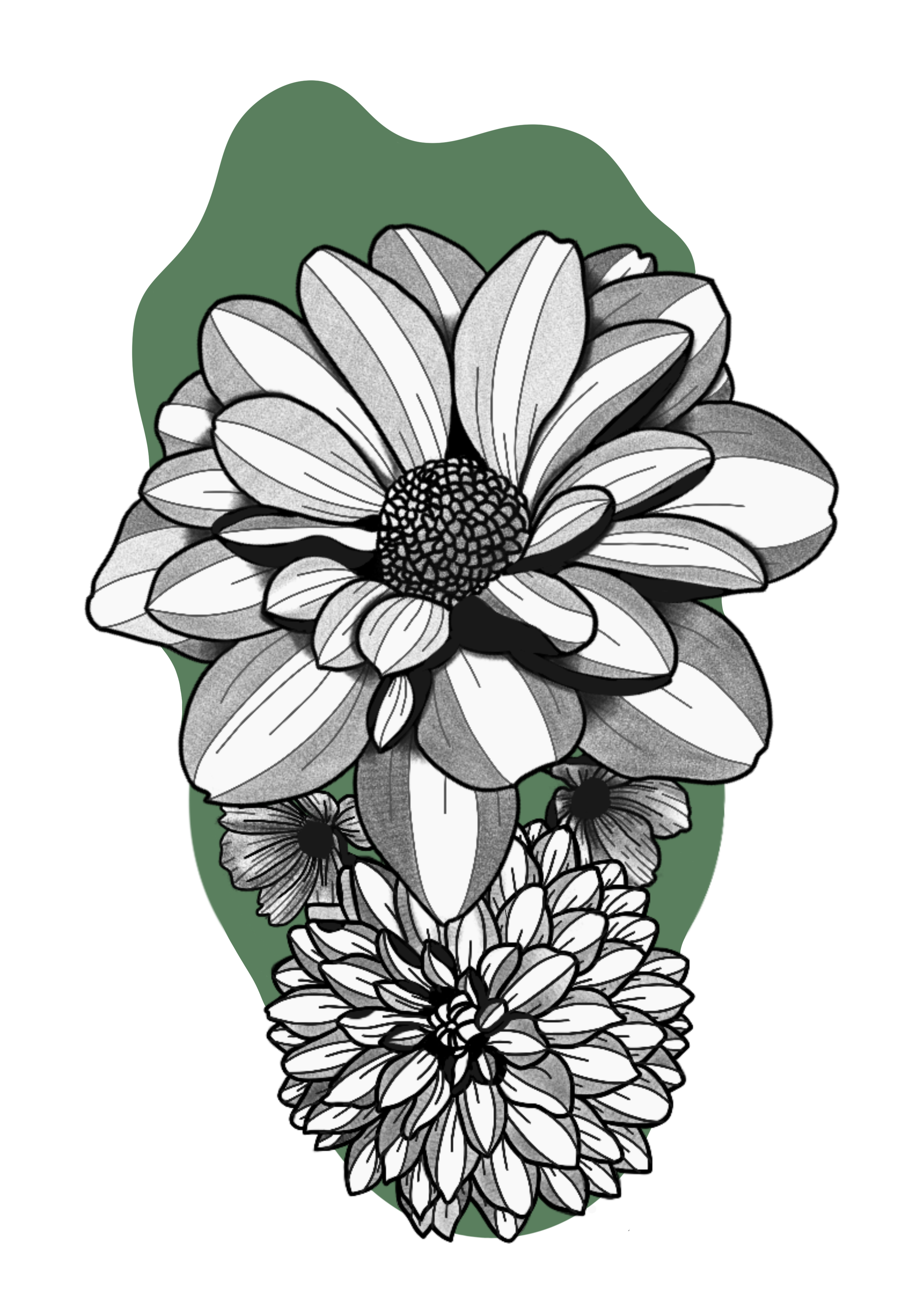 Dahlia
